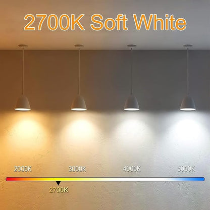 5 Inch Edison Bulb, 2700K Soft White E26 Led Bulb 6W Dimmable, 800LM T10/T9 Clear Glass Tubular Light Bulbs, AC 120V Equal 80 Watt Bulbs for Chandelier Pendant Wall Light - 4Pack