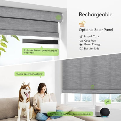 ZSTARR Motorized Light Filtering Roller Blinds with Remote Control,Rechargeable Smart Window Shades Compatible with Alexa Google via Hub,Fabric Wrapped Valance, Custom Size (Light Gray)