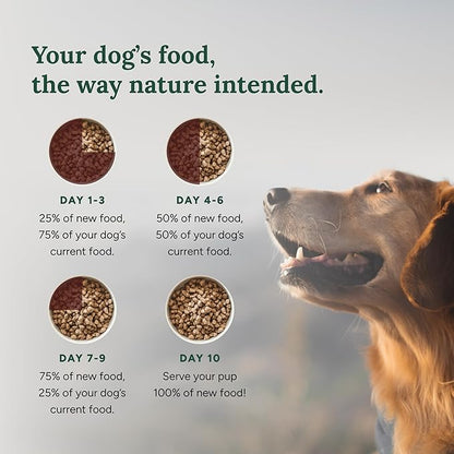 360 Pet Nutrition Freeze-Dried Raw Dog Food – Chicken Recipe with Liver & Organs, High Protein, Omega-3s, Fruits, Veggies & Superfoods, Grain-Free, No Fillers, 1 lb – Made in USA