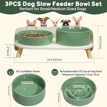 Elevated Slow Feeder Dog Bowls - Ceramic Food and Water Bowl Set with Stand - Raised Pet Dishes for Small and Medium Sized Dogs