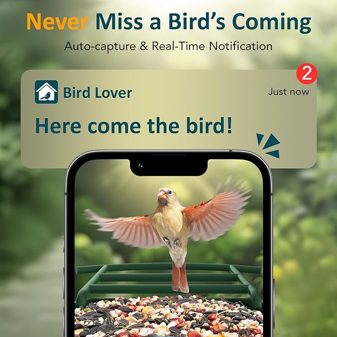 BIRDLEGEND® BL01 Bird Feeder with Camera Solar Powered, Free AI Smart Camera Bird Feeder with 64GB Card DIY Add-ons 1080P Live Auto Capture Videos Pictures, Gifts for Birdlover Mom Dad, 2.4GHz WiFi