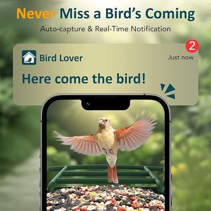 BIRDLEGEND® BL01 Bird Feeder with Camera Solar Powered, Free AI Smart Camera Bird Feeder with 64GB Card DIY Add-ons 1080P Live Auto Capture Videos Pictures, Gifts for Birdlover Mom Dad, 2.4GHz WiFi