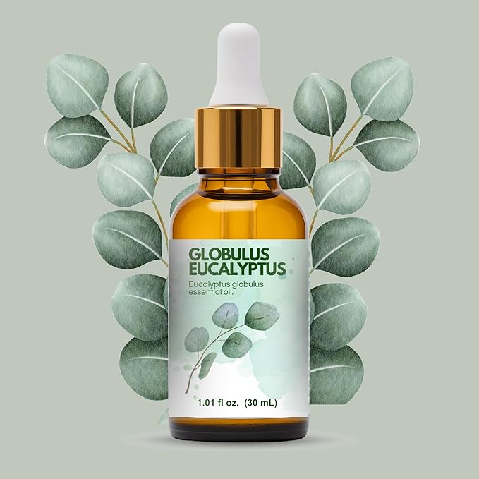 Eucalyptus Globulus Essential Oil by One Arome – Pure, Undiluted & Steam-Distilled Herbal Aroma for Diffusers for Home, Massage (Dilute), Cleaning & Linen Refresh (Pack of 4/1.0 Fl Oz)