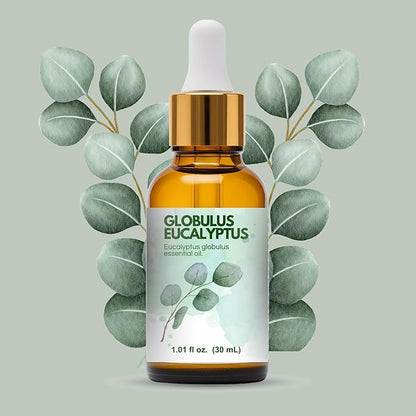 Eucalyptus Globulus Essential Oil by One Arome – Pure, Undiluted & Steam-Distilled Herbal Aroma for Diffusers for Home, Massage (Dilute), Cleaning & Linen Refresh (Pack of 4/1.0 Fl Oz)