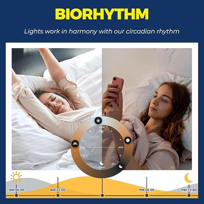 Lightinginside E26 Smart Light Bulbs 50W Equiv., G16.5 A15 RGBCW Small Chandelier Ceiling Fan Smart Bulb Works with Alexa/Google Home/Smart Life, 5W 550LM, 2.4G WiFi Bluetooth Bulb, ETL Listed, 6PCS