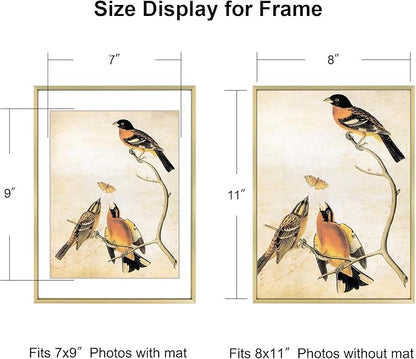8x11 Picture Frame, Brass Aluminum Metal Photo Frames with HD Glass, Fits 7x9 with Mat or 8 x 11 without Mat, Display for Wall and Table