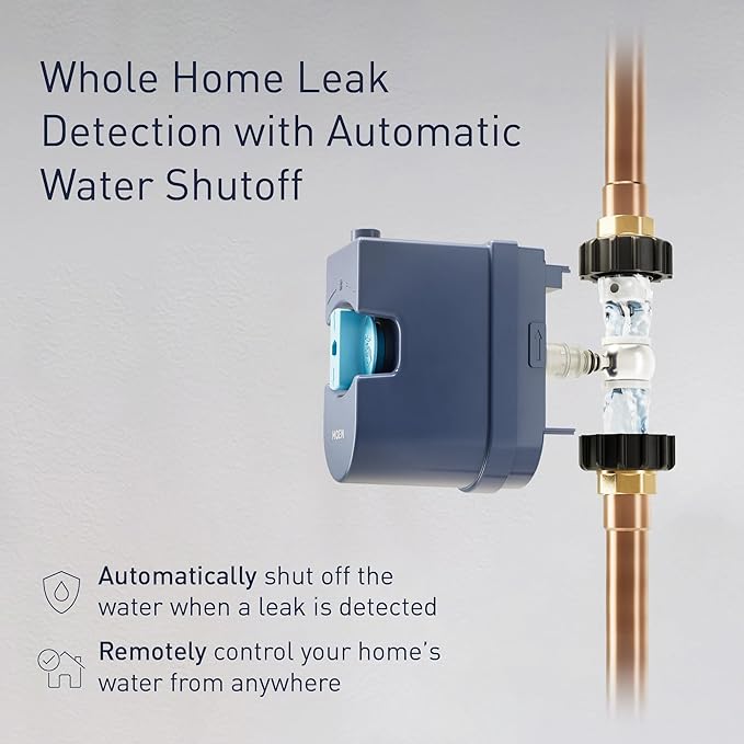 Moen 900-006 Flo by Moen 1-Inch Smart Water Shutoff with 920-004 Flo by Moen Smart Water Detector, 1-Pack