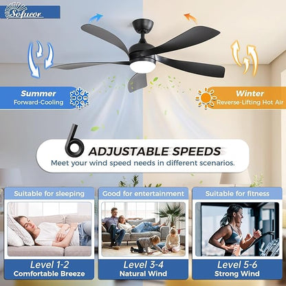 Sofucor 52 Inch Ceiling Fans with Lights and Remote, Outdoor Ceiling Fan with Light 6-Speed 3 CCT 3-Timer, Black Low Profile Ceiling Fan 5 Blade Reversible DC Motor for Living Room Bedroom Patio