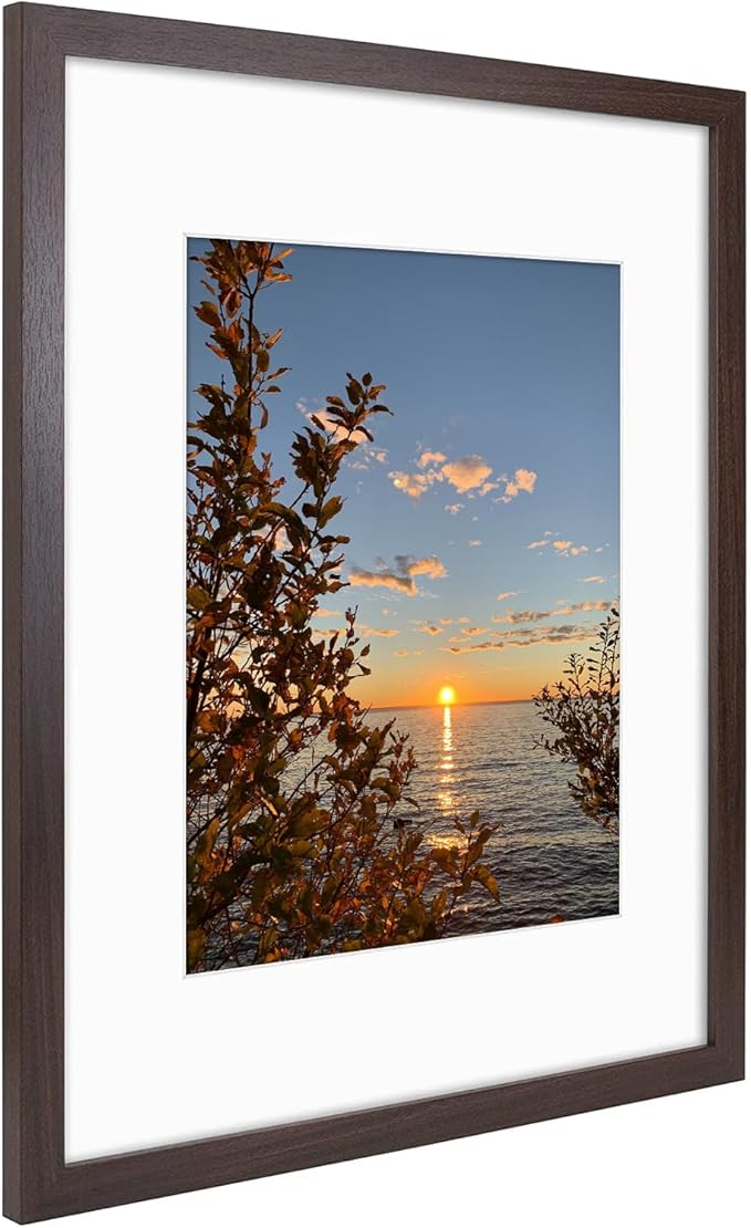 Golden State Art, 16x20 Picture Frames with Mat for 11x14 or 16x20 Picture Collage Gallery Wall Frame with Real Glass, Brown, 2 Pack