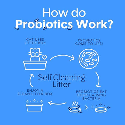 Boxie Probiotic Cat Litter, 40 Day Odor Control, Clumping Clay Kitty Litter, Odor Eliminating Probiotics, Dust-Free, No Fragrances No Fillers, 16 lb
