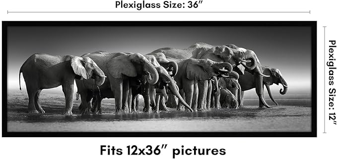 Americanflat 12x36 Picture Frame with Polished Plexiglass - Signature Collection - Gallery-Style Frames Made of Engineered Wood - Photo Frame for Wall Display - Black