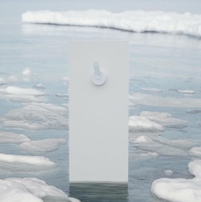 Bird Replacement Component to The Birdie Fresh Air Monitor (Glaicer)
