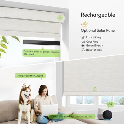 ZSTARR Motorized Blackout Roller Blinds with Remote Control,Rechargeable Smart Window Shades Compatible with Alexa Google via Hub,Fabric Wrapped Valance, Custom Size (Beige)