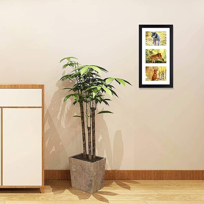 Golden State Art, Set of 3, 9x18 Black Wood Frame - White Mat for Three 5x7 Pictures - Sawtooth Hangers- Swivel Tabs - Wall Mounting - Landscape/Portrait - Real Glass - Collage Frame