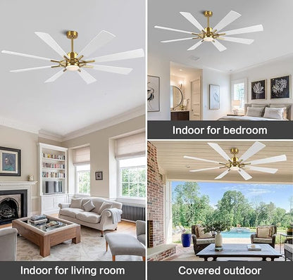 WINGBO 60" DC Ceiling Fan with Lights and Remote Control, Gold and White Ceiling Fan, 8 Plywood Blades, 6-Speed Reversible DC Motor, Modern Ceiling Fans Indoor for Kitchen Bedroom Living Room