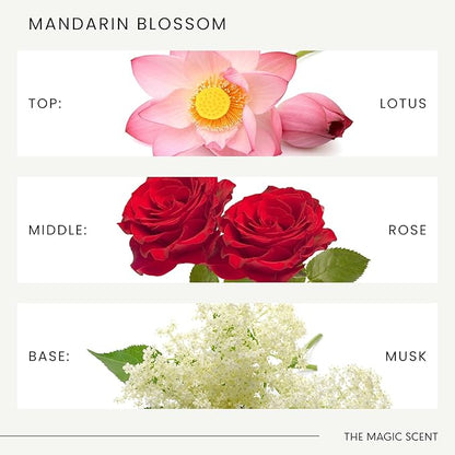 The Magic Scent Mandarin Blossom Diffuser Oil - Hotel & Home Luxury Scents Inspired by Maldives - Diffuser Oil Scents for Home Designed for Use in All Diffusers - 16.9 fl oz, 500 mL