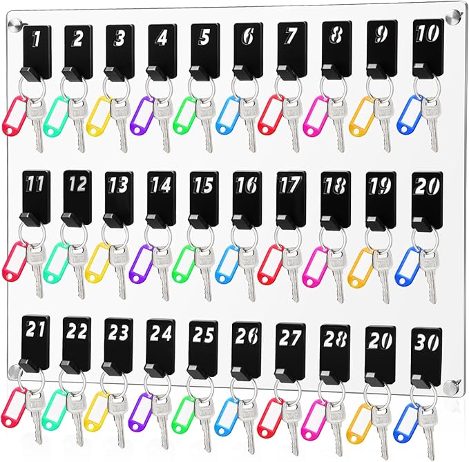 Acrylic Key Board with 30 No. Hooks Wall Mount Key Rack Holder Hanger Storage Collection for School, Garage, Car Dealer, Office, Hotel, Real Estate(Transparent)