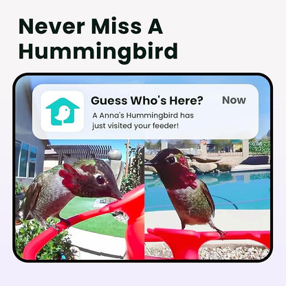Birdfy Hummingbird Feeder with Dual Cameras - 2K HD Smart Cameras Solar Powered, Close-Up Bird Video/Live Watching & Instant Notifications, Ant Moat & Leakproof - 20oz (AI Lifetime)