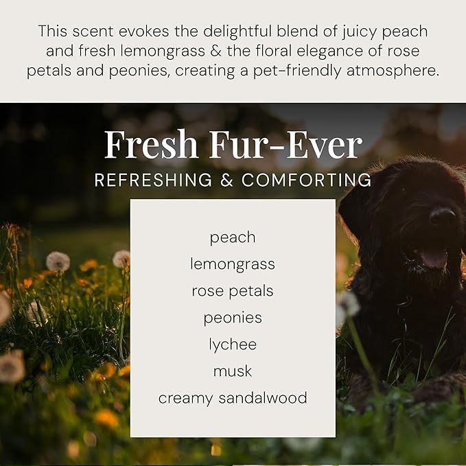Air Esscentials Diamond Smart Scent Air Machine & Fresh Fur-Ever Aroma Oil, Waterless Fragrance Oil Diffuser with Bluetooth App Control, Fresh Cut Pine & Fir, Refreshing Winter Forest Scent, 100mL
