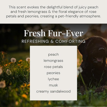 Air Esscentials Diamond Smart Scent Air Machine & Fresh Fur-Ever Aroma Oil, Waterless Fragrance Oil Diffuser with Bluetooth App Control, Fresh Cut Pine & Fir, Refreshing Winter Forest Scent, 100mL