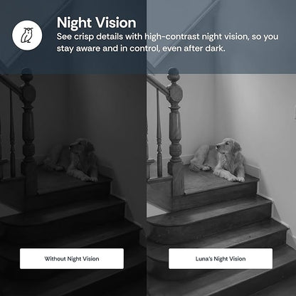 Luna Indoor Camera 360-Degree Pan/Tilt, Pet/Person/Vehicle AI Motion Detection, Plug-in, Night Vision, Two Way Audio, Cloud Storage, Wi-Fi Camera for Room Office Smart Home Security (White)