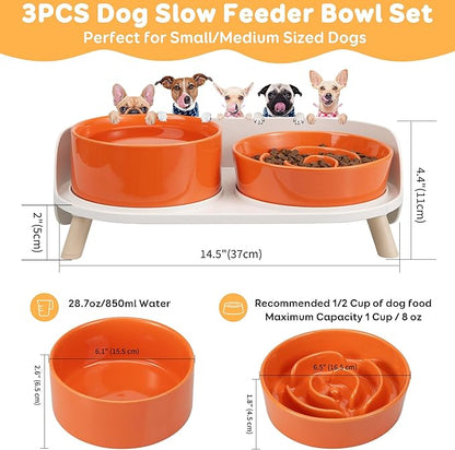 Elevated Slow Feeder Dog Bowls - Ceramic Food and Water Bowl Set with Stand - Raised Pet Dishes for Small and Medium Sized Dogs