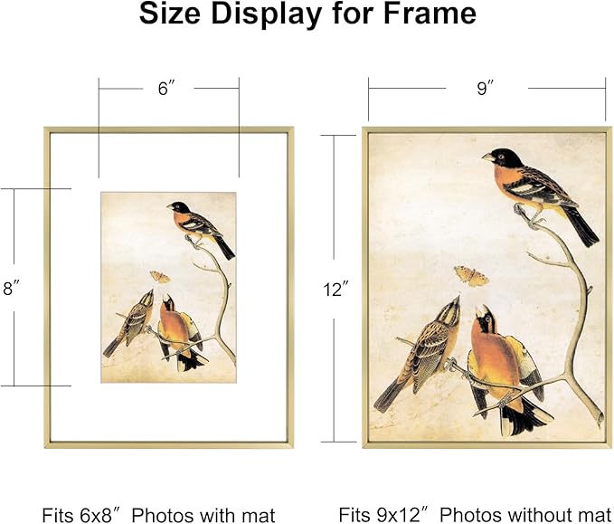 9x12 Picture Frame, Brass Metal Photo Frames with HD Glass, Fits 6x8 with Mat or 9 x 12 without Mat, Display for Wall and Table, 1 Pack