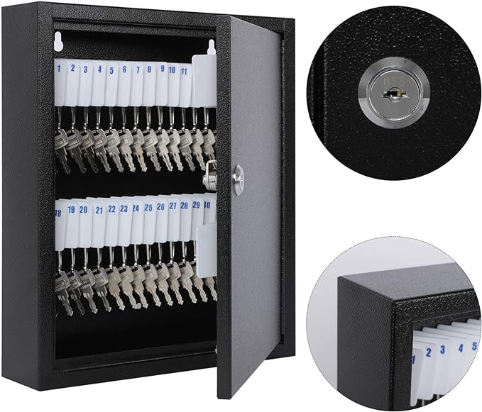KYODOLED Key Storage Lock Box with Key, Locking Key Cabinet, 60 Key Management Wall Mount with Key Lock, Key Hooks & Tags Key Labels, 2.5" D x 10.2" W x 12.1" H (Black,60 Key)