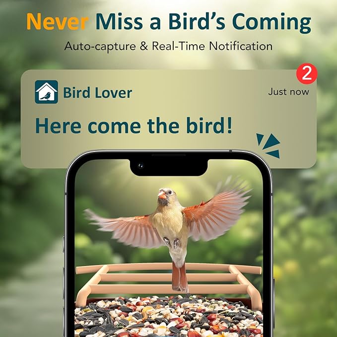 BIRDLEGEND® BL01 Bird Feeder with Camera Solar Powered, Free AI Smart Camera Bird Feeder with 64GB Card DIY Add-ons 1080P Live Auto Capture Videos Pictures, Gifts for Birdlover Mom Dad, 2.4GHz WiFi