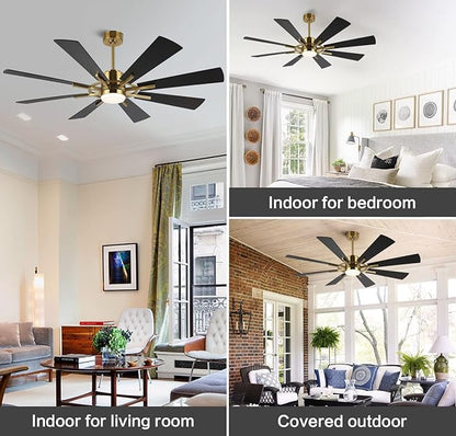 WINGBO 60" DC Ceiling Fan with Lights and Remote Control, Gold and Black Ceiling Fan, 8 Plywood Blades, 6-Speed Reversible DC Motor, Modern Ceiling Fans Indoor for Kitchen Bedroom Living Room