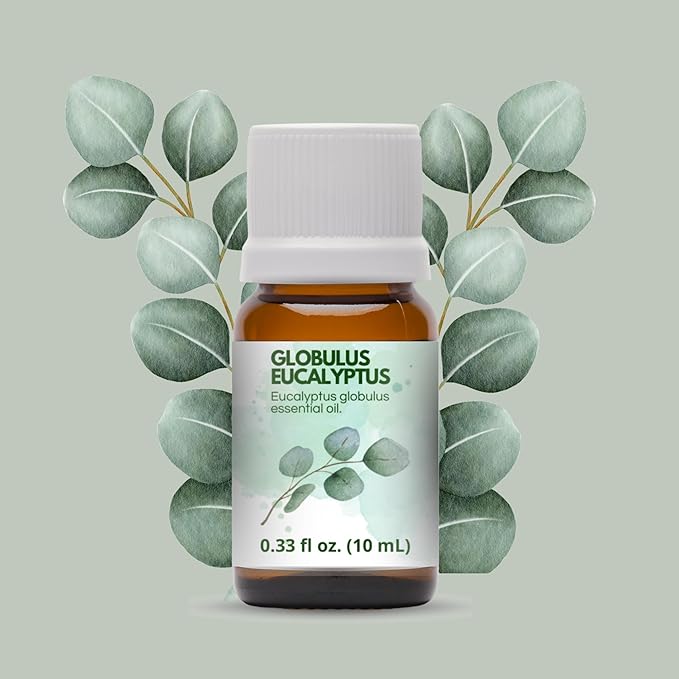 Eucalyptus Globulus Essential Oil by One Arome – Pure, Undiluted & Steam-Distilled Herbal Aroma for Diffusers for Home, Massage (Dilute), Cleaning & Linen Refresh (Pack of 4 × 0.34 fl oz)