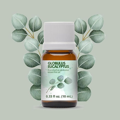 Eucalyptus Globulus Essential Oil by One Arome – Pure, Undiluted & Steam-Distilled Herbal Aroma for Diffusers for Home, Massage (Dilute), Cleaning & Linen Refresh (Pack of 4 × 0.34 fl oz)