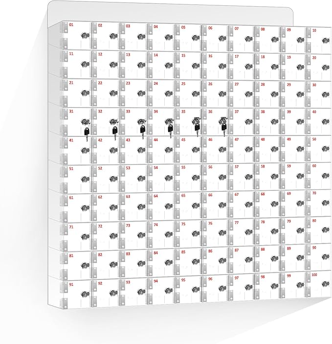 100 Slots Clear Acrylic Cell Phone Locker Box Wall-Mounted with Keys, Lockable Secure Storage Cabinet for Classroom Office Gym, Multi-Use Phone Lock Organizer for Employees Students (Large)