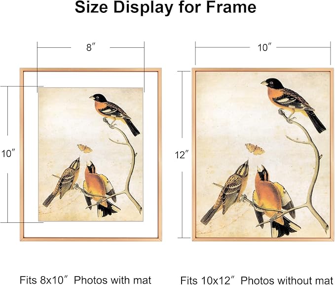10x12 Picture Frame, Gold Aluminum Metal Photo Frames with HD Glass, Fits 8x10 with Mat or 10 x 12 without Mat, Display for Wall, 1 Pack