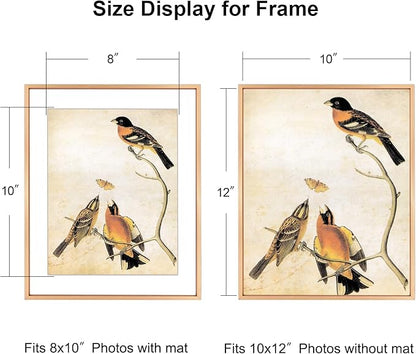 10x12 Picture Frame, Gold Aluminum Metal Photo Frames with HD Glass, Fits 8x10 with Mat or 10 x 12 without Mat, Display for Wall, 1 Pack