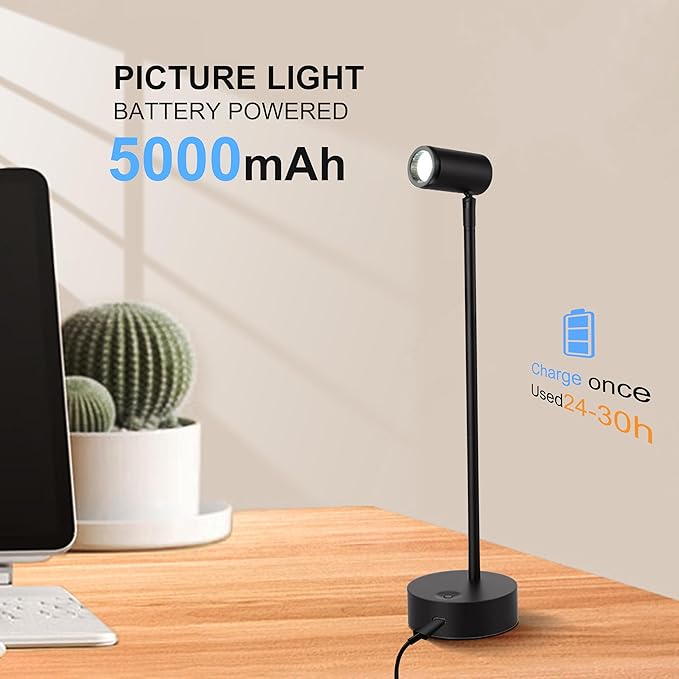 ZitoStory Lights for Pictures On Wall, Battery Operated Picture Light Rechargeable, Black Led Art Lighting for Paintings Wireless with Remote Magnetic Stick Dimmable and Timer（2 Pack）