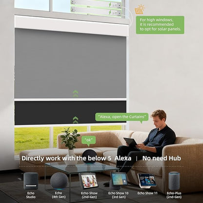 ZSTARR Motorized Day and Night Dual Smart Blind for Window with Valance Rechargeable Motor,Blackout Roller Shade Custom Size,with Valance Suitable for Home,Office (Full Blackout Pure Black)