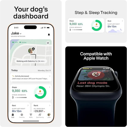 Fi Mini GPS Tracker for Dogs & Cats – Lightweight, Virtual Fences, Escape Alerts, Step & Health Tracking, Waterproof – 12-Month Membership Included