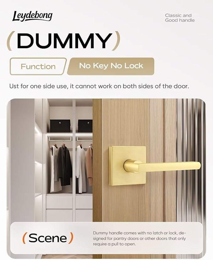 Leydebong 10 Pack Dummy Door Handles in Satin Brass, Non-Turning Interior Door Levers, Heavy Duty Reversible Indoor Handles for Closet Pantry