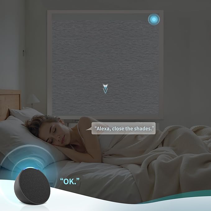 Motorized Blinds with Remote Custom Size Blackout Smart Roller Shades Compatible with Alexa Google, Electric Blinds for Windows