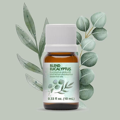 Dual Eucalyptus Essential Oil Blends by One Arome – Eucalyptus Oil (Corymbia Citriodora - Lemon & Eucalyptus Globulus) | Oil for Diffusers, Massage (Dilute) & DIY (Pack of 6 × 0.34 fl oz Each)