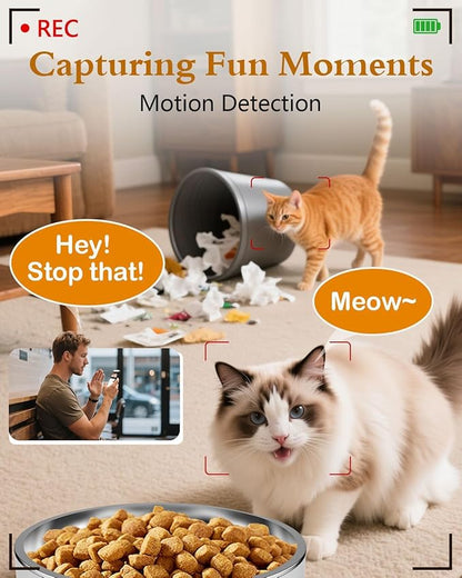 Yakry Automatic Cat Feeder with Camera - 5G WiFi Easy Setup App Control Cat Dry Food Dispenser with Stainless Steel Bowl, 4L/17 Cups, HD 1080P Video with Night Vision for Small Pets Indoor