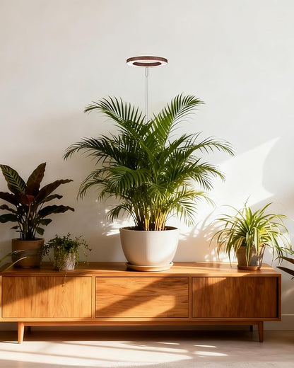 yadoker Plant Grow Light,LED Growing Light Full Spectrum for Indoor Plants,Aluminum Walnut Wood Grain Plant Lights,Height Adjustable, Automatic Timer, 5V Low Safe Voltage