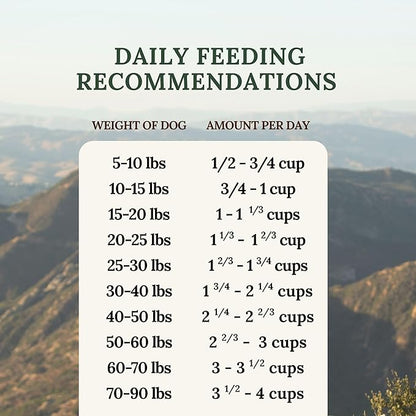 360 Pet Nutrition Freeze-Dried Raw Dog Food – Chicken Recipe with Liver & Organs, High Protein, Omega-3s, Fruits, Veggies & Superfoods, Grain-Free, No Fillers, 1 lb – Made in USA