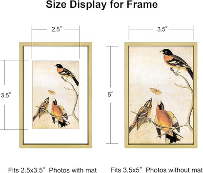 3.5x5 Picture Frame Set of 3, Brass Metal Photo Frames with HD Glass, Fits 2.5x3.5 with Mat or 3.5x5 without Mat, Wall Hanging and Table Display