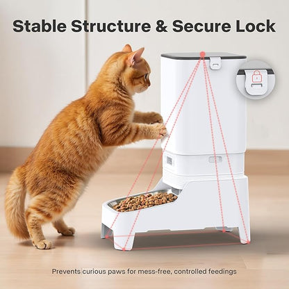 Automatic Cat Feeder, Elevated Automatic Dog Feeder, 7L Cat Food Dispenser, No-Jam, Up to 6 Meals for 2-15 mm Dry Food, Stainless Steel Bowl, No Spinal Pressure, Easy to Clean