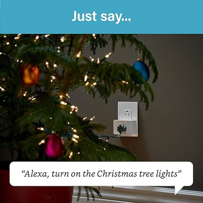 Legrand Radiant® Wi-Fi Matter Smart Plug Matter Hub Required 15A, Easy Setup, Enhanced Compatibility with Apple HomeKit, Google Home, Alexa & SmartThings, Easy Wi-Fi Connectivity w/ Matter (1 Pack)