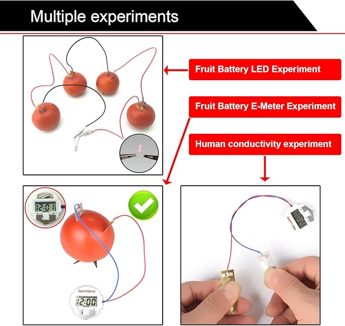 EUDAX Fruit Battery Science Experiment Kit for DIY School Home Teaching Equipment, Orange Lemon Potato Electronic Clock Science Project Kit Physics Educational for Students Teachers (8 Set)