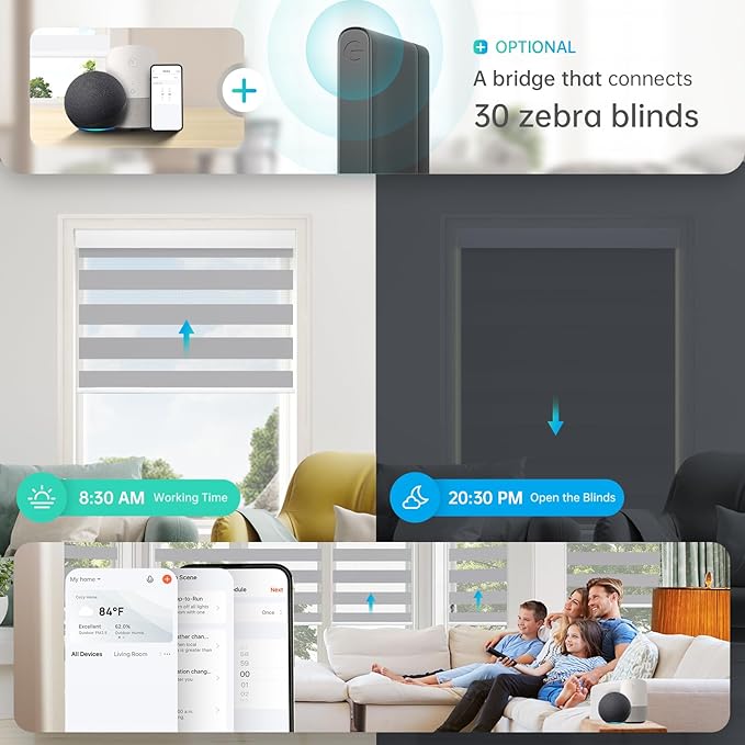 DENFOON Motorized Zebra Blinds, Solar Powered Dual Layer Automatic Shades with Remote Control, Rechargeable Smart Blinds Horizontal Wireless Electric Shades for Windows, Custom Size, Gray， 31 x 72
