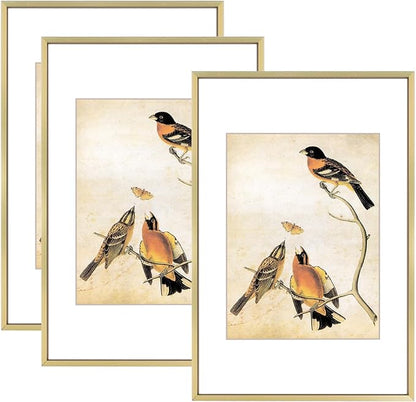 8x12 Picture Frame Set of 3, Brass Aluminum Metal Photo Frames with HD Glass, Fits 6x8 with Mat or 8 x 12 without Mat, Display for Wall